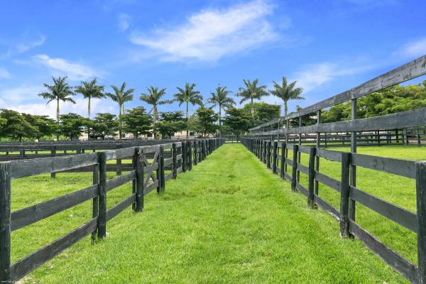 Saddle Trail Park Of Wellington, 2389 King Ter, Wellington, Florida 33414, image 3