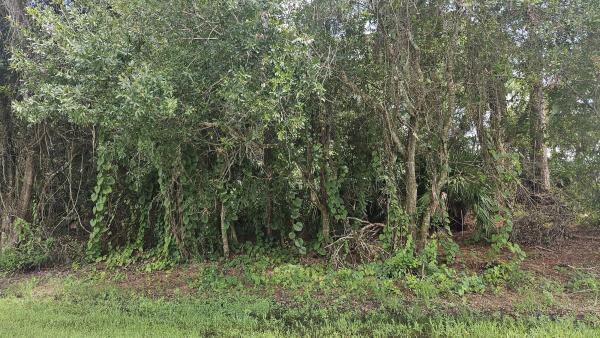 Palm Trails, 1757 SW Day St, Port St. Lucie, Florida 34953, image 3