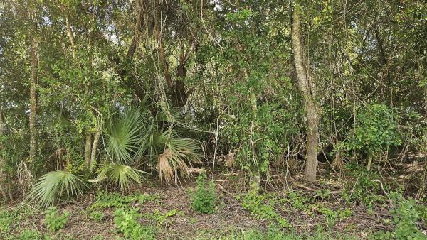 Palm Trails, 1743 SW Day St, Port St. Lucie, Florida 34953, image 3