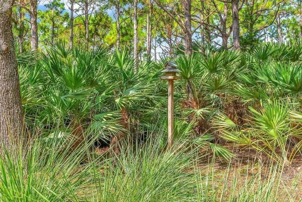 Kenwood Forest At Evergrene, 631 Moondancer Ct, Palm Beach Gardens, Florida 33410, image 2