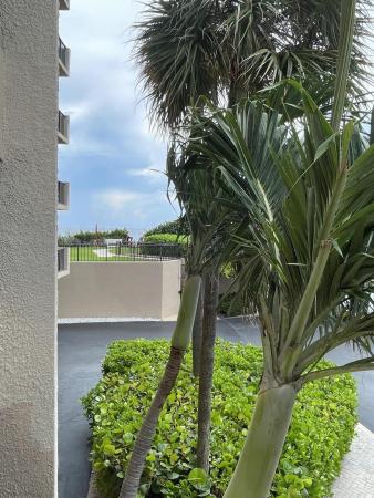 Cote D'Azur, 4200 N Ocean Dr #1-103, Riviera Beach, Florida 33404, image 2