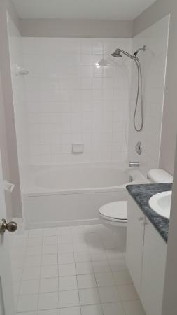 1114 Shoma Dr, Royal Palm Beach, Florida 33414, image 3