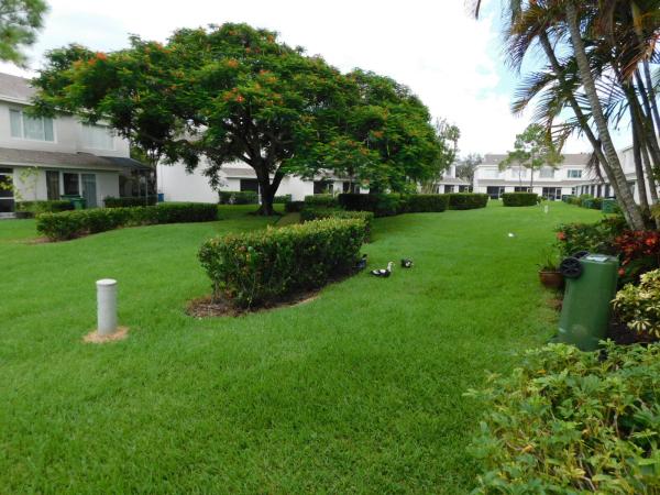 Coconuts, 50 Simonton Cir, Weston, Florida 33326, image 2
