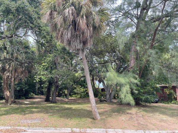 Lake Worth Town, 806 S Lakeside Dr, Lake Worth Beach, Florida 33460, image 3