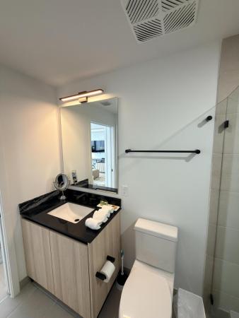 225 N Miami Ave AVENUE #2207, Miami, Florida 33128, image 3
