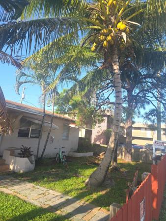2028 Funston St #1-4, Hollywood, Florida 33020, image 2