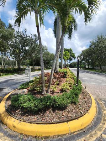 Sawgrass Preserve, 2306 NW 139th Ave, Sunrise, Florida 33323, image 2