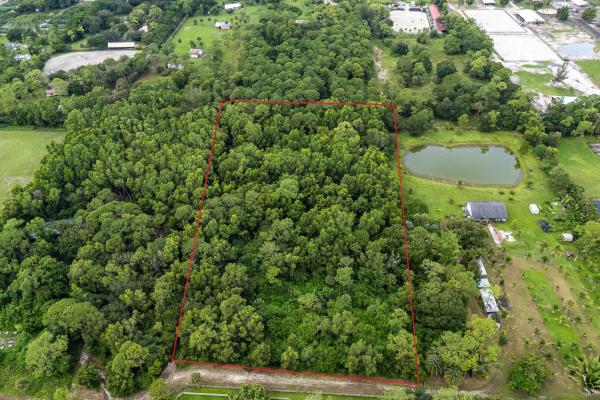 Loxahatchee Groves Residential, 3501 C Rd ROAD, Loxahatchee Groves, Florida 33470, image 3