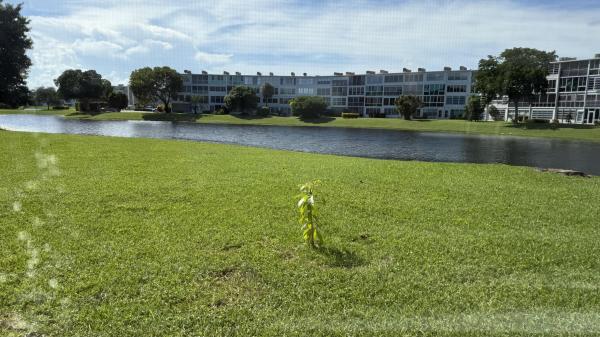 1034 Farnham O, Deerfield Beach, Florida 33442, image 3