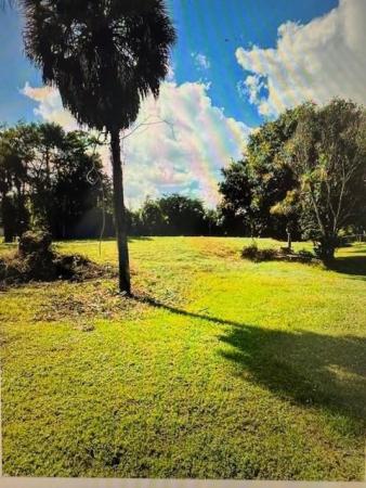 Pine Tree Estates, 7235 NW 63rd Way, Parkland, Florida 33067, image 3