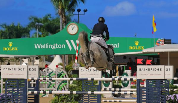 Equestrian Club Estates, 14239 Calypso Ln, Wellington, Florida 33414, image 2