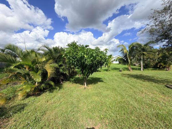 Swan Park, 142 NW Dorchester St, Port St. Lucie, Florida 34983, image 3