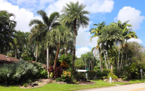 Cypress Grove At Palm-Aire, 806 Cypress Grove Ln #303, Pompano Beach, Florida 33069, image 3