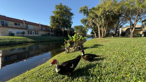 Woodland Cove, 5811 NW 57th Ave, Tamarac, Florida 33319, image 1