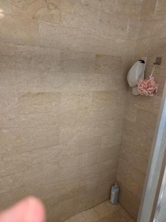 Blue Lake, 3500 Blue Lake Dr #304, Pompano Beach, Florida 33064, image 1