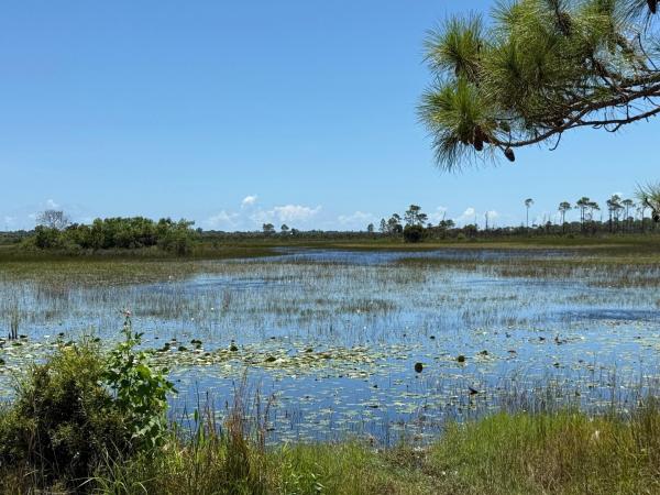 Sandhill Crossing, 1597 SE Berkshire Blvd, Port St. Lucie, Florida 34952, image 1