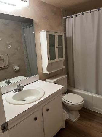 Deerfield Pines, 1428 SE 4th Ave #107, Deerfield Beach, Florida 33441, image 1
