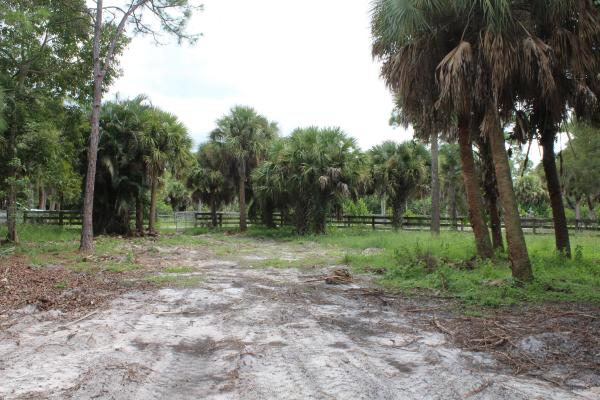 Fox Trail, 1275 Arabian Dr DRIVE, Loxahatchee, Florida 33470, image 1