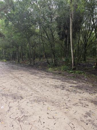 Loxahatchee Groves Residential, 14566 11th Ter, Loxahatchee Groves, Florida 33470, image 1