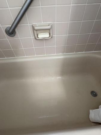 Meadowbrook Lakes View, 101 SE 3rd Ave #501, Dania Beach, Florida 33004, image 1