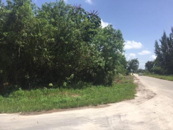 Loxahatchee Groves, 13460 Marcella Blvd, Loxahatchee, Florida 33470, image 2