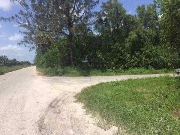 Loxahatchee Groves, 13460 Marcella Blvd, Loxahatchee, Florida 33470, image 1