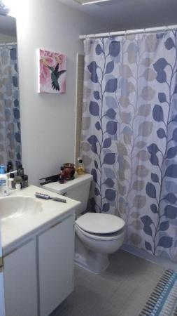 Pierpointe East At Pembroke Lakes, 1100 N Hiatus Rd #1100, Pembroke Pines, Florida 33026, image 1
