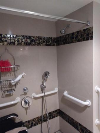 River Manor, 3000 NE 5th Ter #307-A, Wilton Manors, Florida 33334, image 3