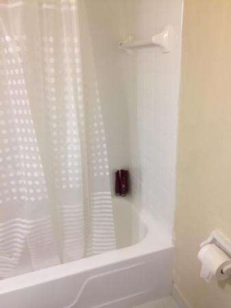 Versailles Gardens, 8040 Colony Cir N #304, Tamarac, Florida 33321, image 1