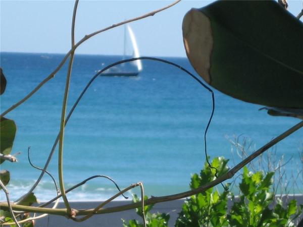 DWV, 4260 NE 5th Ave, Boca Raton, Florida 33431, image 1
