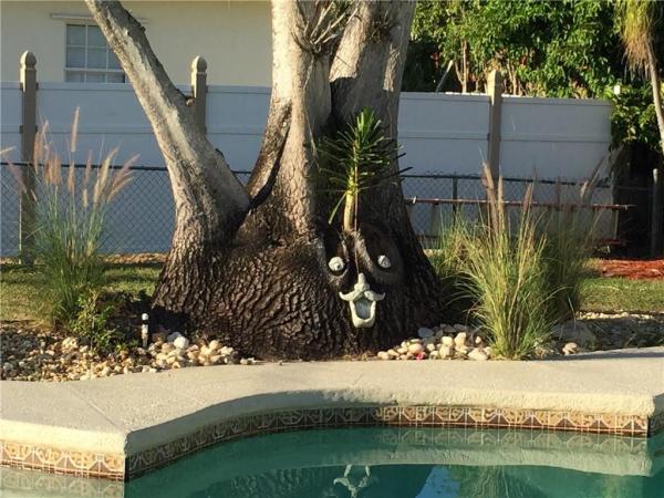 Hillsboro Pines, 4841 NW 76th Pl, Coconut Creek, Florida 33073, image 2