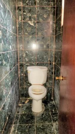 Sunkist Grove, 12090 NW 12th Ave, North Miami, Florida 33168, image 1