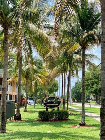 Coco Cay, 760 SE 2nd Ave #208C, Deerfield Beach, Florida 33441, image 3