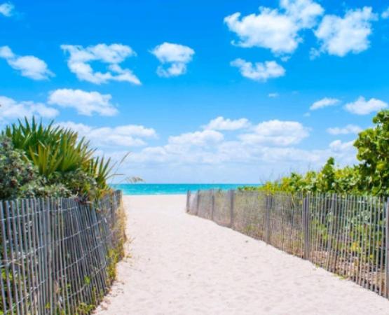 Ocean Walk On South Beach, 335 Ocean Dr #114, Miami Beach, Florida 33139, image 3