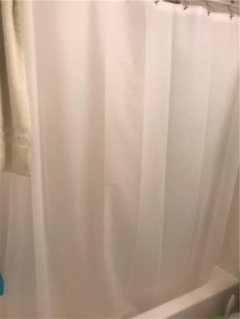 Wilton Commons, 2741 NE 8th Ave #16, Wilton Manors, Florida 33334, image 3