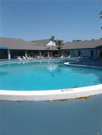 Palm Springs 2, 7688 NW 18th St #202, Margate, Florida 33063, image 1