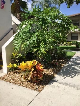 Tamarac Gardens, 9666 W Mcnab Rd #207, Tamarac, Florida 33321, image 1