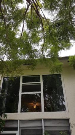 Nassau Village, 2710 Nassau Bnd #A2, Coconut Creek, Florida 33066, image 1