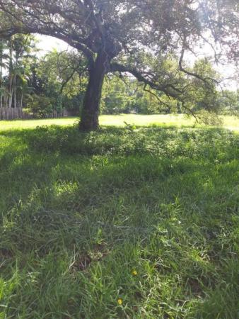Paradise Farms, 2650 SW 139th Ave, Davie, Florida 33330, image 1