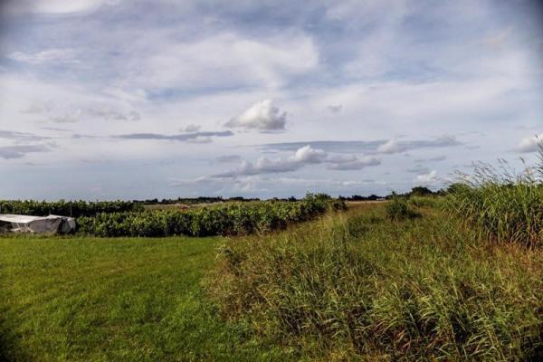 Goulds No HOA, 21210 SW 224, Goulds, Florida 33170, image 3