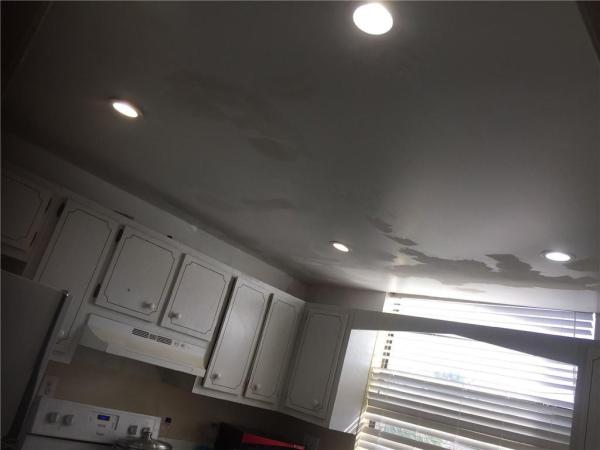 Tree Garden, 1748 NW 55th Ave #203, Lauderhill, Florida 33313, image 3