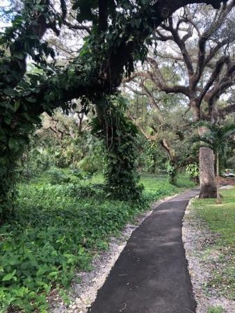 Live Oak Of Pine Island Ridge, 9441 Live Oak Pl #409, Davie, Florida 33324, image 2