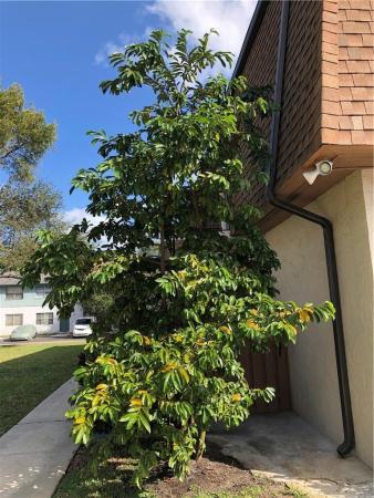 Apple Creek, 7401 W Sunrise Blvd #B1, Plantation, Florida 33313, image 1