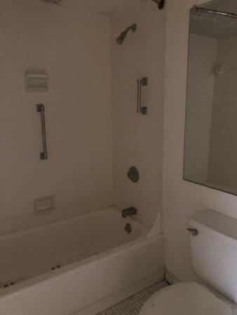 Boca Bayou, 13 Royal Palm Way #3010, Boca Raton, Florida 33432, image 1