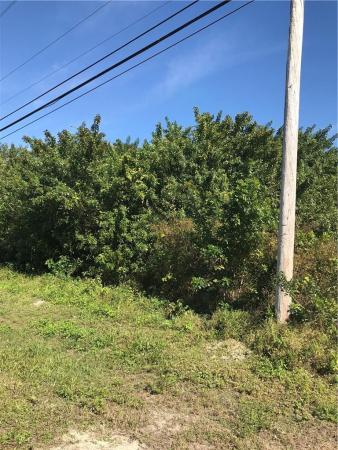 The Acreage, 3804 N Mandarin, Loxahatchee, Florida 33470, image 2