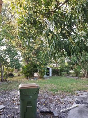 Sunkist Grove, 1079 NW 122nd St, North Miami, Florida 33168, image 1