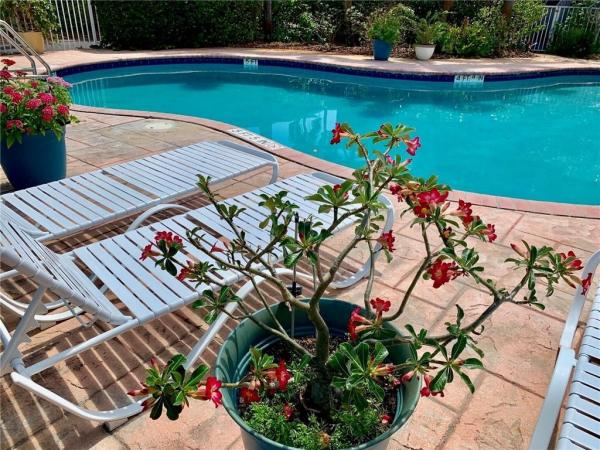Wilton Village, 2607 NE 8th Ave #13, Wilton Manors, Florida 33334, image 3