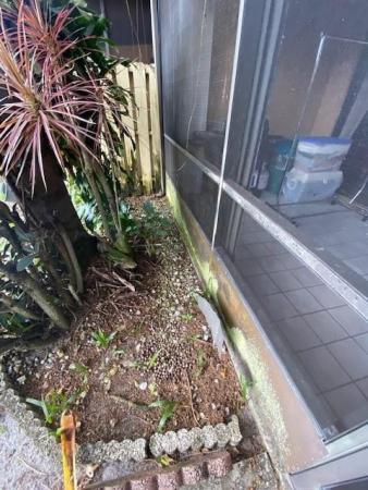 Golden Raintree 6, 3683 Carambola Cir N #2845, Coconut Creek, Florida 33066, image 1