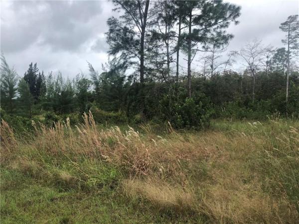 Homeland, 6801 Duckweed Rd, Lake Worth, Florida 33449, image 1