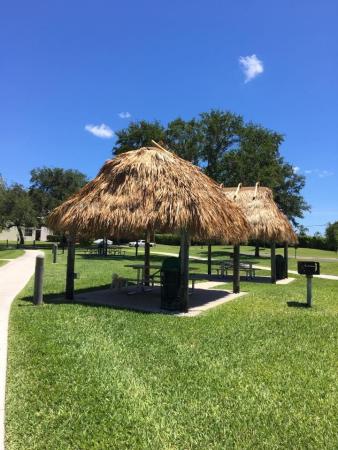 Lake Emerald, 113 Lake Emerald Dr #305, Oakland Park, Florida 33309, image 1